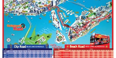 迈阿密跳上跳下地图